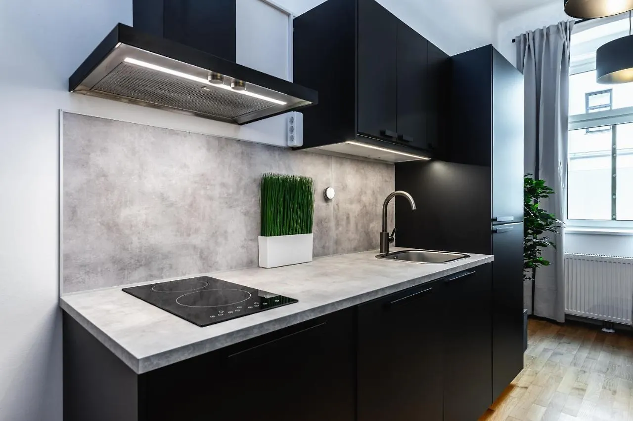 Stylish Designed Apartment In A Top Location Vienna 0*,  Austria